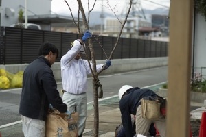 丸正渡邊工務所